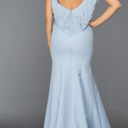 Long Abi Evening Dress 1