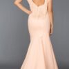 Long Abi Powder Evening Dress 1