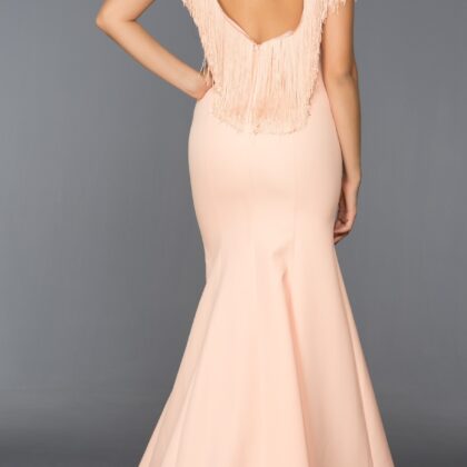Long Abi Powder Evening Dress 1
