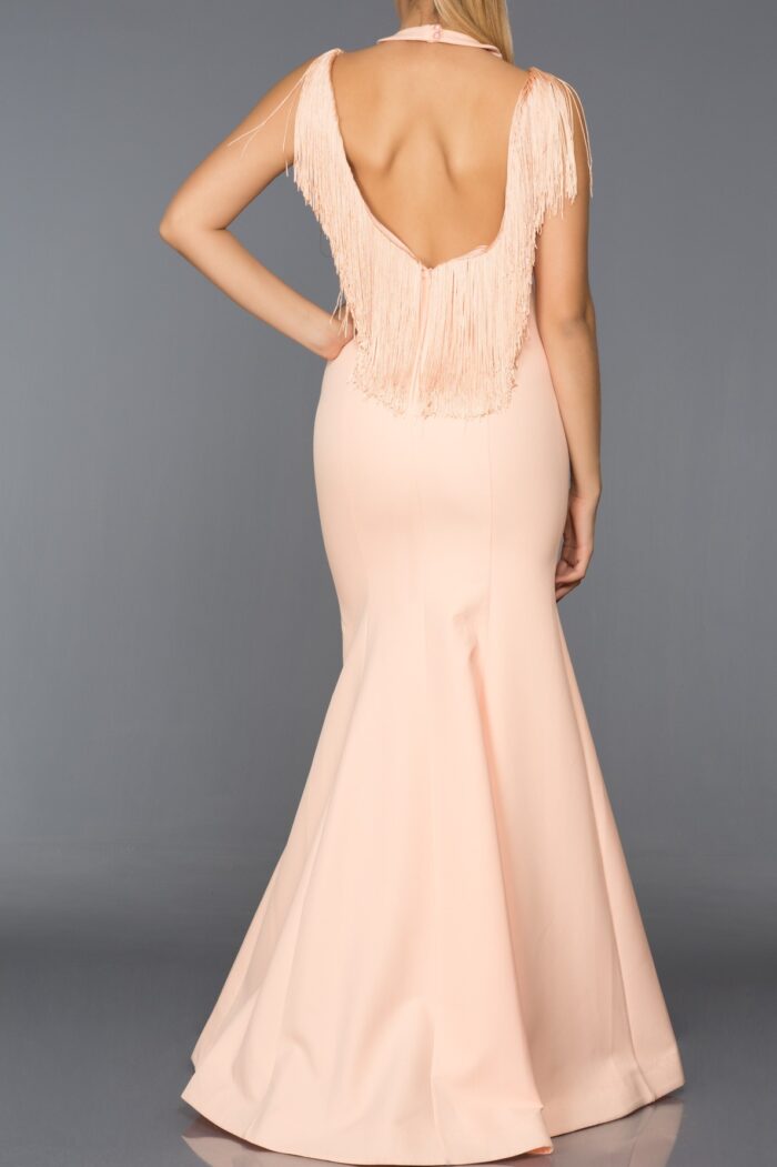 Long Abi Powder Evening Dress 1